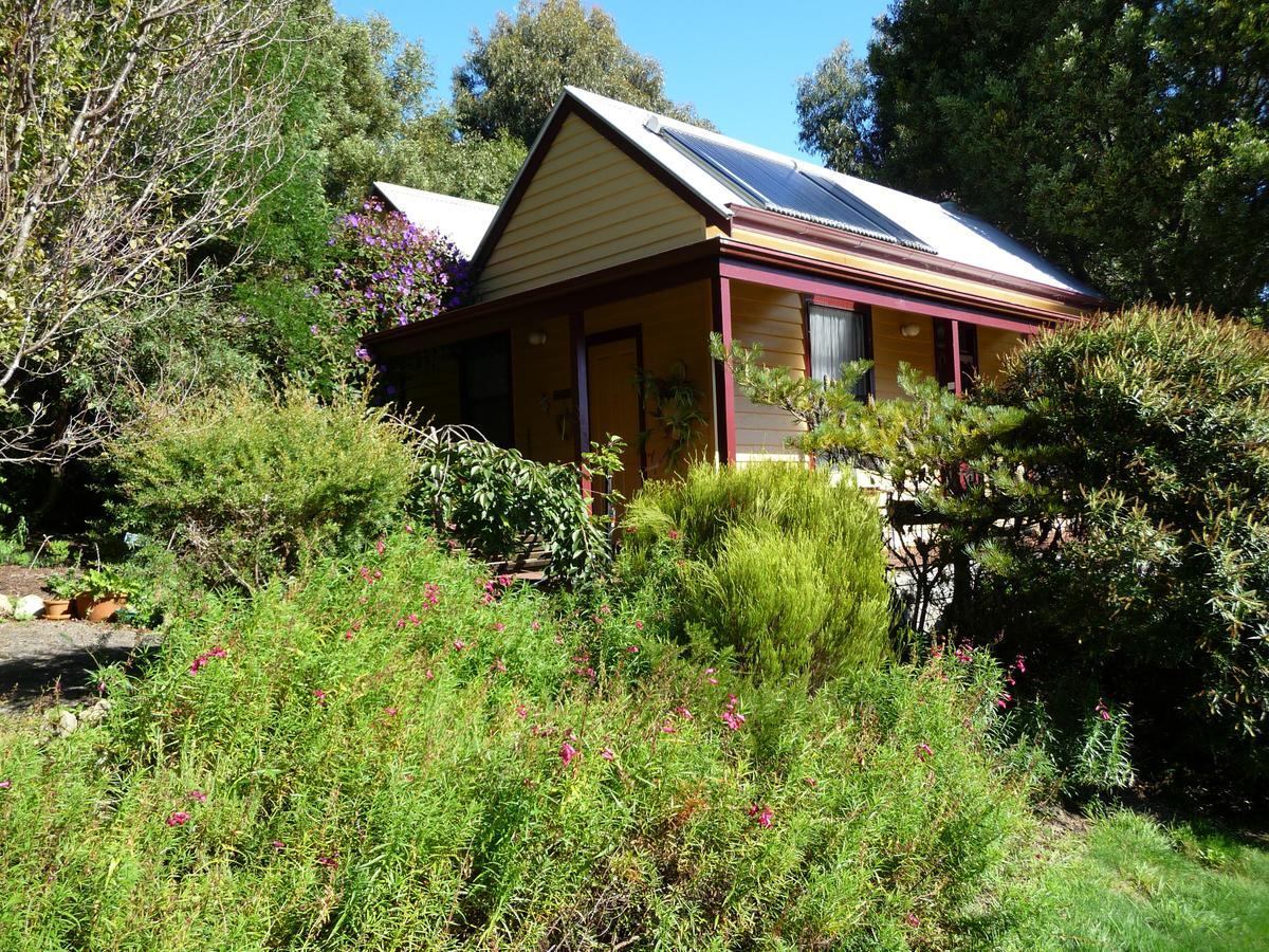 Lemonade Creek Cottages Lorne Exterior foto